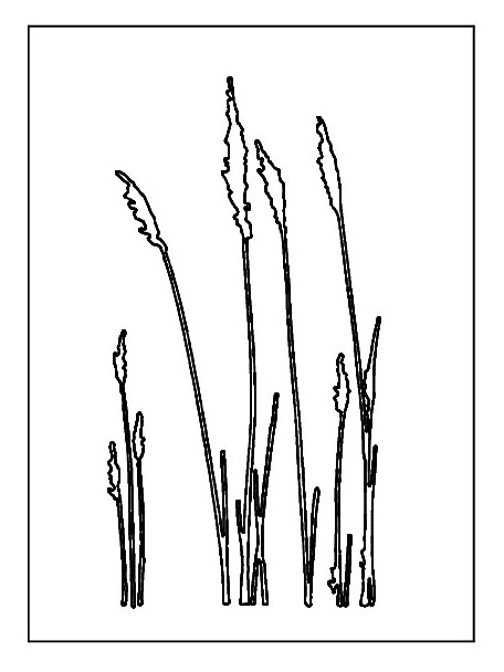 Sichtschutz Motiv: Stachel-Gras