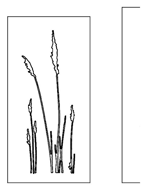 Sichtschutz Motiv: Ziergras