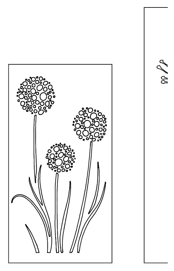 Sichtschutz Motiv: Allium / Zierlauch (3)