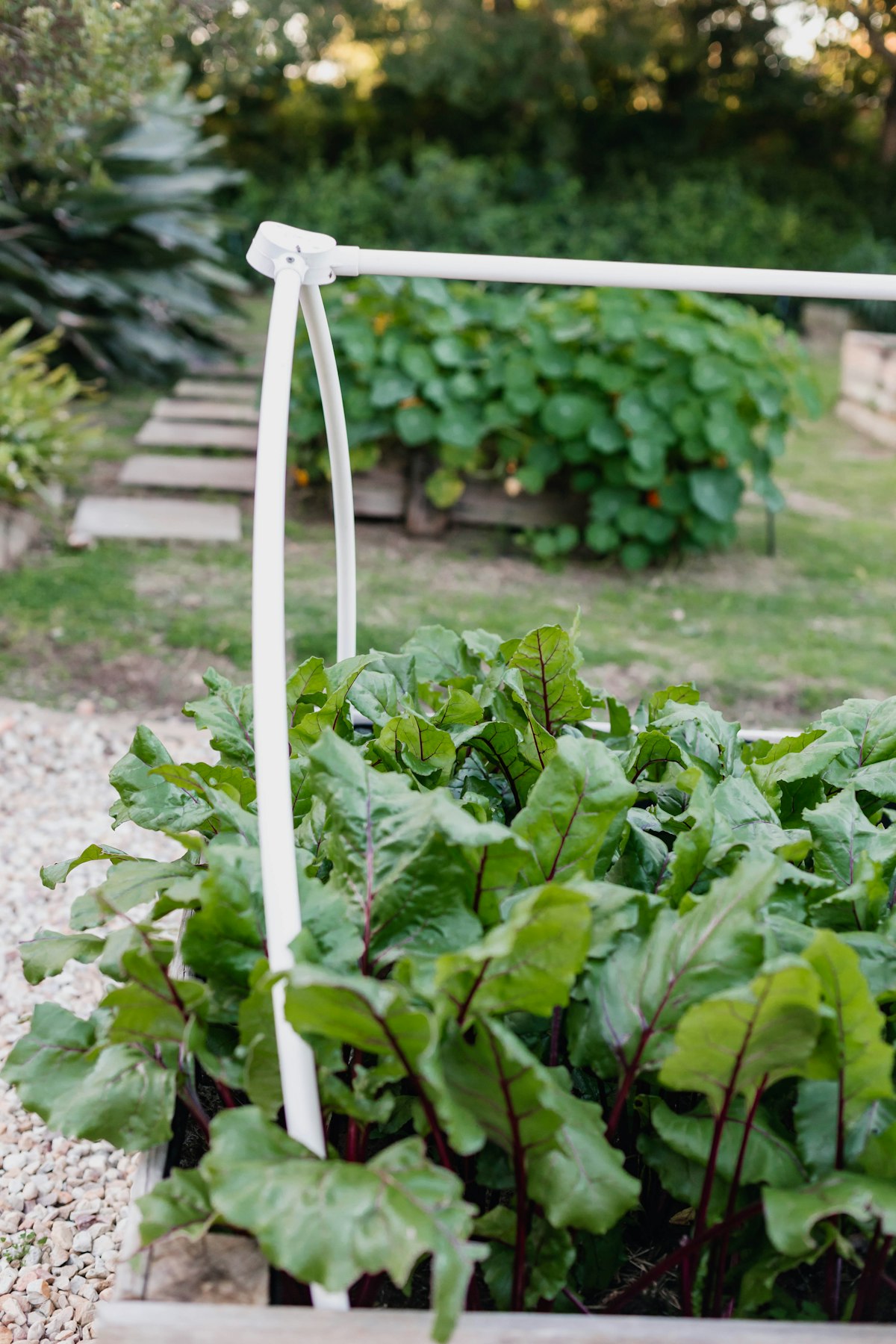 Moderner Garten mit Metallelementen